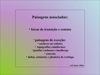 Paisagens associadas: faixas de transição e contato paisagens de exceção:  enclaves ou redutos topografias ruiniformes pontões rochosos e inselbergs canyons deltas, estuários e planícies de restinga (Ab’Saber 2006) 