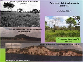 Paisagens e feições de exceção (heranças) Ab’Saber (2003) Tabuleiro pediplanado e morro-testemunho em Santarém-PA Cerrados de Salvaterra-PA (enclave) Campos sujos do Alto Rio Branco-RR (enclave) Rio Tapajós, em Santarém-PA Borda de tabuleiro com  valouse  em Santarém-PA (DNPM 1974) 