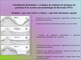 Domínio dos morros mamelonares superúmidos recobertos por floresta densa de encosta; Domínio das planícies intermontanas tropicais e savanas úmidas Classificação fisionômica  e ecológica de unidades de paisagem de grandeza II de acordo com metodologia de Bertrand (1972): Domínio + pot. ecol. (relevo e clima) + expl. biol. (formação vegetal) Domínio dos morros mamelonares superúmidos recobertos por floresta densa de encosta; Domínio dos planaltos pediplanados tropicais revestidos por floresta ombrófila densa sobre latossolos; Domínio das planícies  aluviais tropicais e campos mistos sobre solos hidromórficos.  Domínio das pediplanos intermontanos e depressões interplanálticas semiáridas com  inselbergs ; 