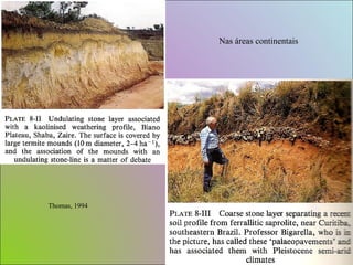 Thomas, 1994 Nas áreas continentais 