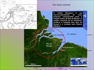 Nas áreas costeiras O Golfão Marajoara é um macrocompartimento da costa paraense, compreendida entre a margem direita da Baía de Marajó e a margem esquerda do rio Amazonas. Limita-se a sudoeste pelo Arco de Gurupá e, a nordeste, pelo Oceano Atlântico.  Ilha de Marajó Oc. Atlântico Ilha de Mosqueiro Soure Foz do Amazonas Foz do  Amazonas 48º28’02”W 01º30’47”S 51º04’21”W 00º02’25”N 
