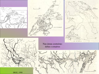 Nas áreas costeiras: deltas e estuários IBGE, 1990 