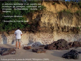 Falésia próxima à praia do Maraú, Mosqueiro (2009) A estrutura sedimentar é um registro das mudanças da paisagem, controladas por processos morfogenéticos durante o Neógeno: mudanças climáticas flutuações do nível de base 