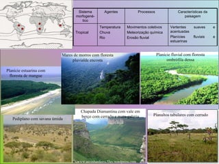 Planície fluvial com floresta ombrófila densa Pediplano com savana úmida Planaltos tabulares com cerrado www.asvinhasdaira.files.wordpress.com Chapada Diamantina com vale em berço com cerrado e mata-galeria Mares de morros com floresta pluvialde encosta Planície estuarina com floresta de mangue Sistema morfogené-tico Agentes Processos Características da paisagem Tropical Temperatura Chuva Rio Movimentos coletivos Meteorização química Erosão fluvial Vertentes suaves e acentuadas  Planícies fluviais e estuarinas 