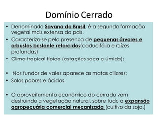 Mata ciliar ou Mata de galeria
 