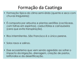 Caatinga
 