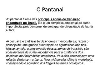 Domínios morfoclimáticos