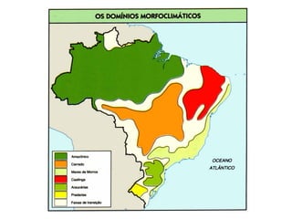 Domínio Amazônico
 