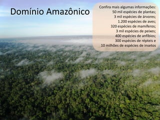 Cacajao - macaco típico
Jacaré
Vitória Régia
Onça pintada
 