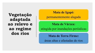 Vegetação
adaptada
ao relevo e
ao regime
dos rios
Mata de Igapó:
permanentemente alagada
Mata de Várzea:
atingida por inundações periódicas
Mata de Terra Firme:
áreas altas e afastadas de rios
 