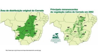 http://www.ispn.org.br/arquivos/mapa-desmatamento-cerrado.jpg
 