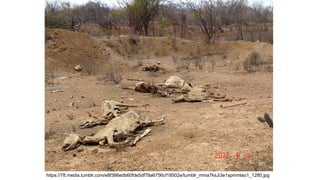 CAATINGA
https://78.media.tumblr.com/e8f386edb60fde5df78a6756cf18502e/tumblr_mma7ksJi3e1spmmlao1_1280.jpg
 