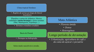 Clima tropical litorâneo
• Regiões de serras ao longo do litoral
brasileiros
Planaltos e serras do Atlântico; Morros
ondulados (meias-laranjas) e áreas serranas
(Mar, Mantiqueira, Espinhaço...)
• Terrenos cristalinos erodidos
Bacia do Paraná
• Destaque na hidrografia
Solos muito suscetíveis à erosão.
Mata Atlântica
• Floresta úmida
• Densa
• Heterogênea
Longo período de devastação
• Urbanização, agricultura do café e
da cana-de-açúcar e pecuária
 