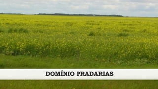 DOMÍNIO PRADARIAS
 
