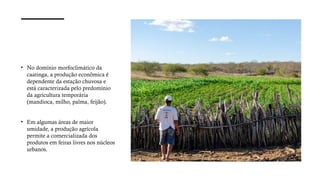 • No domínio morfoclimático da
caatinga, a produção econômica é
dependente da estação chuvosa e
está caracterizada pelo predomínio
da agricultura temporária
(mandioca, milho, palma, feijão).
• Em algumas áreas de maior
umidade, a produção agrícola
permite a comercializada dos
produtos em feiras livres nos núcleos
urbanos.
 