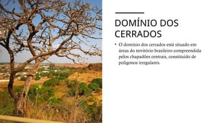 DOMÍNIO DOS
CERRADOS
• O domínio dos cerrados está situado em
áreas do território brasileiro compreendida
pelos chapadões centrais, constituído de
polígonos irregulares.
 