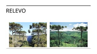 RELEVO
 