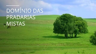 DOMÍNIO DAS
PRADARIAS
MISTAS
 