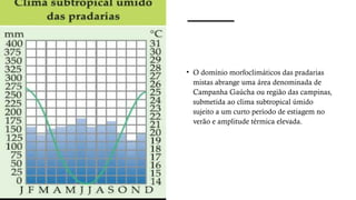 • O domínio morfoclimáticos das pradarias
mistas abrange uma área denominada de
Campanha Gaúcha ou região das campinas,
submetida ao clima subtropical úmido
sujeito a um curto período de estiagem no
verão e amplitude térmica elevada.
 
