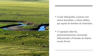 • A rede hidrográfica é perene com
menor densidade e volume hídrico
que aquela do domínio da Araucárias.
• A vegetação ciliar foi,
predominantemente, desmatada
influenciando a formação de feições
erosão fluvial.
 