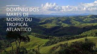 DOMÍNIO DOS
MARES DE
MORRO OU
TROPICAL
ATLANTICO
 