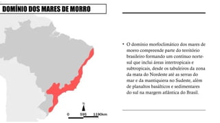 • O domínio morfoclimático dos mares de
morro compreende parte do território
brasileiro formando um contínuo norte-
sul que inclui áreas intertropicais e
subtropicais, desde os tabuleiros da zona
da mata do Nordeste até as serras do
mar e da mantiquiera no Sudeste, além
de planaltos basálticos e sedimentares
do sul na margem atlântica do Brasil.
 
