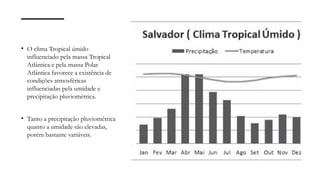 • O clima Tropical úmido
influenciado pela massa Tropical
Atlântica e pela massa Polar
Atlântica favorece a existência de
condições atmosféricas
influenciadas pela umidade e
precipitação pluviométrica.
• Tanto a precipitação pluviométrica
quanto a umidade são elevadas,
porém bastante variáveis.
 