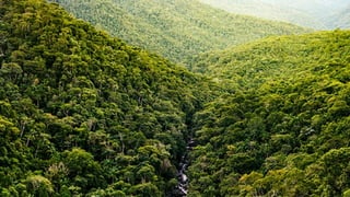Domínios morfoclimáticos brasileiros.pptx