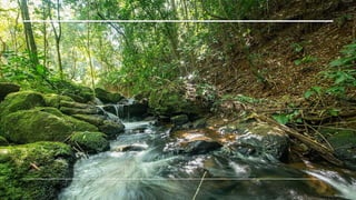 Domínios morfoclimáticos brasileiros.pptx