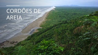 CORDÕES DE
AREIA
 