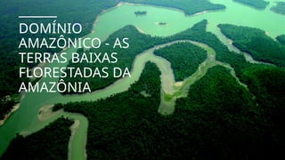DOMÍNIO
AMAZÔNICO - AS
TERRAS BAIXAS
FLORESTADAS DA
AMAZÔNIA
 