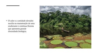 • O calor e a umidade elevados
auxilia na manutenção de uma
exuberante e contínua floresta
que apresenta grande
diversidade biológica.
 
