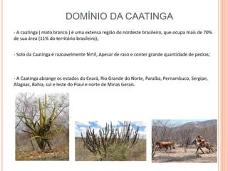 DOMÍNIO DA CAATINGA
- A caatinga ( mato branco ) é uma extensa região do nordeste brasileiro, que ocupa mais de 70%
de sua área (11% do território brasileiro);
- Solo da Caatinga é razoavelmente fértil, Apesar de raso e conter grande quantidade de pedras;
- A Caatinga abrange os estados do Ceará, Rio Grande do Norte, Paraíba, Pernambuco, Sergipe,
Alagoas, Bahia, sul e leste do Piauí e norte de Minas Gerais.
 