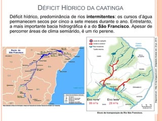 DÉFICIT HÍDRICO DA CAATINGA
Déficit hídrico, predominância de rios intermitentes: os cursos d’água
permanecem secos por cinco a sete meses durante o ano. Entretanto,
a mais importante bacia hidrográfica é a do São Francisco. Apesar de
percorrer áreas de clima semiárido, é um rio perene.
 