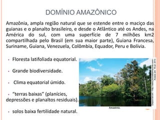 DOMÍNIO AMAZÔNICO
Amazônia, ampla região natural que se estende entre o maciço das
guianas e o planalto brasileiro, e desde o Atlântico até os Andes, na
América do sul, com uma superfície de 7 milhões km2
compartilhada pelo Brasil (em sua maior parte), Guiana Francesa,
Suriname, Guiana, Venezuela, Colômbia, Equador, Peru e Bolívia.
• Floresta latifoliada equatorial.
• Grande biodiversidade.
• Clima equatorial úmido.
• “terras baixas” (planícies,
depressões e planaltos residuais).
• solos baixa fertilidade natural.
 