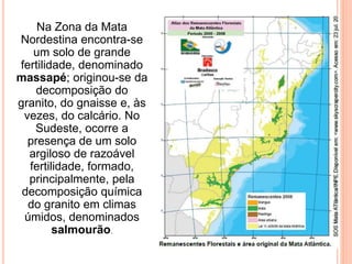 Na Zona da Mata
Nordestina encontra-se
um solo de grande
fertilidade, denominado
massapé; originou-se da
decomposição do
granito, do gnaisse e, às
vezes, do calcário. No
Sudeste, ocorre a
presença de um solo
argiloso de razoável
fertilidade, formado,
principalmente, pela
decomposição química
do granito em climas
úmidos, denominados
salmourão.
 