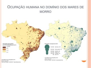 OCUPAÇÃO HUMANA NO DOMÍNIO DOS MARES DE
MORRO
 