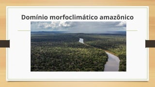 Domínio morfoclimático amazônico
 