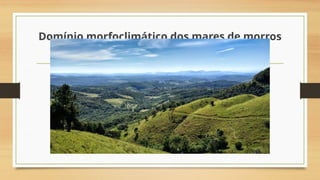 Domínio morfoclimático dos mares de morros
 