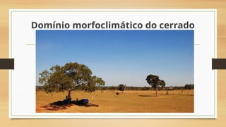 Domínio morfoclimático do cerrado
 