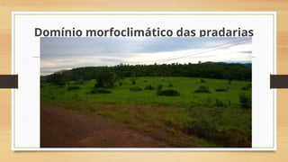 Domínio morfoclimático das pradarias
 