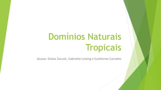 Domínios Naturais
Tropicais
Alunos: Estela Zoccoli, Gabrielle Leising e Guilherme Carvalho
 