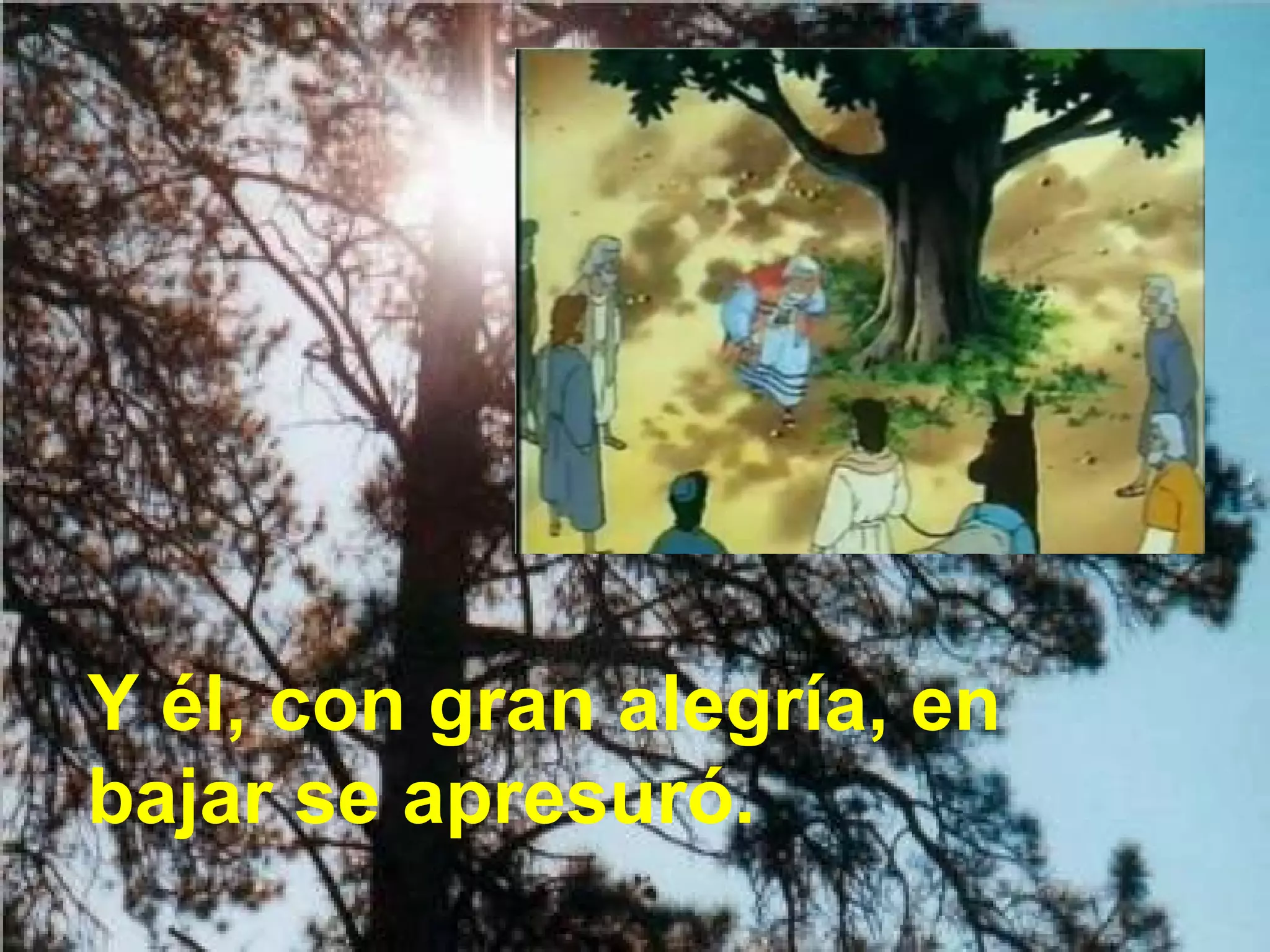 Y él, con gran alegría, en
bajar se apresuró.

 