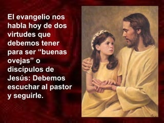El evangelio nos
habla hoy de dos
virtudes que
debemos tener
para ser “buenas
ovejas” o
discípulos de
Jesús: Debemos
escuchar al pastor
y seguirle.
 