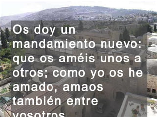 Os doy un mandamiento nuevo: que os améis unos a otros; como yo os he amado, amaos también entre vosotros.  