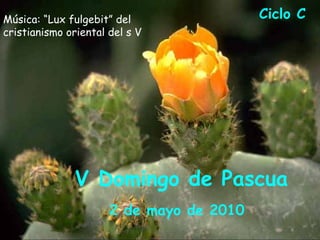 Ciclo C  V Domingo de Pascua  2 de mayo de 2010   Música: “Lux fulgebit” del cristianismo oriental del s V 