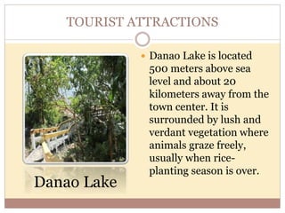 TOURIST ATTRACTIONS
Danao Lake
 Danao Lake is located
500 meters above sea
level and about 20
kilometers away from the
town center. It is
surrounded by lush and
verdant vegetation where
animals graze freely,
usually when rice-
planting season is over.
 