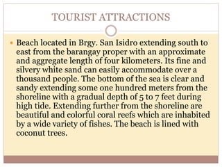 TOURIST ATTRACTIONS
 Beach located in Brgy. San Isidro extending south to
east from the barangay proper with an approximate
and aggregate length of four kilometers. Its fine and
silvery white sand can easily accommodate over a
thousand people. The bottom of the sea is clear and
sandy extending some one hundred meters from the
shoreline with a gradual depth of 5 to 7 feet during
high tide. Extending further from the shoreline are
beautiful and colorful coral reefs which are inhabited
by a wide variety of fishes. The beach is lined with
coconut trees.
 