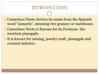 INTRODUCTION
 Camarines Norte derives its name from the Spanish
word “camarin”, meaning rice granary or warehouse.
 Camarines Norte is famous for its Formosa- the
sweetest pineapple.
 It is known for mining, jewelry craft, pineapple and
coconut industry.
 