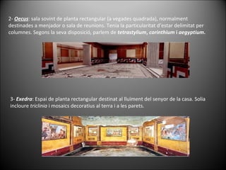 2-  Oecus : sala sovint de planta rectangular (a vegades quadrada), normalment destinades a menjador o sala de reunions. Tenia la particularitat d’estar delimitat per columnes. Segons la seva disposició, parlem de  tetrastylium ,  corinthium  i  a egyptium . 3-  Exedra : Espai de planta rectangular destinat al lluïment del senyor de la casa. Solia incloure  triclinia  i mosaics decoratius al terra i a les parets. 